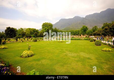 Mughal Garden, Nishat Bagh, jardin de Bliss, jardin de Nishat, Nishat Baug, Srinagar, Jammu-et-Cachemire, Inde Banque D'Images