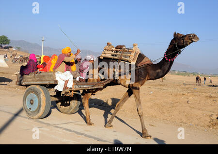 Famille voyageant sur camel panier à Pushkar Rajasthan Inde ; juste ; M.# 786 Banque D'Images