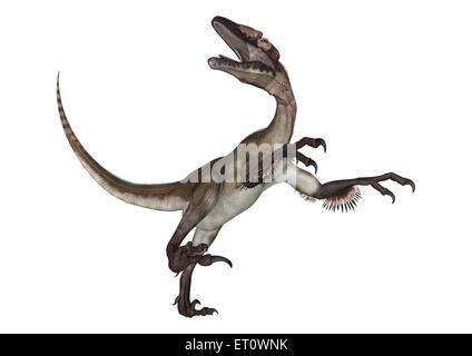 Rendu 3D d'un dinosaure utahraptor isolé sur fond blanc Banque D'Images