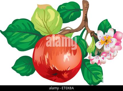 Apple-tree branch vector Illustration de Vecteur