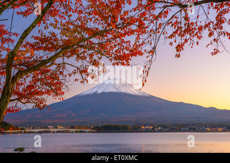 Mt. Fuji, Japon au lac Kawaguchi durant la saison d'automne. Banque D'Images