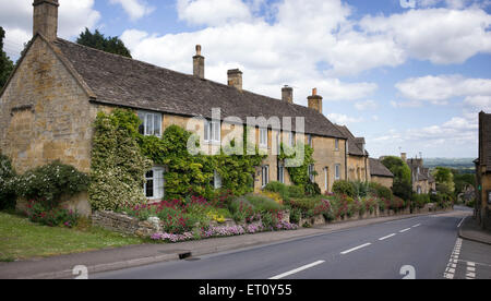 Fleurs de jardin en face de cottages à Bourton on the hill, Cotswolds, Gloucestershire, Angleterre Banque D'Images