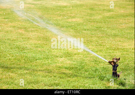 Eau de type sprinkleur à Garcia de Orta jardin municipal maintenant ; ; ; Inde Goa Panjim Banque D'Images