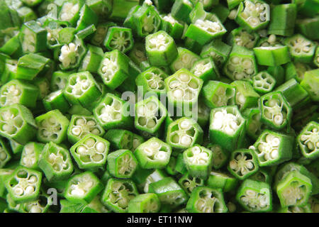 Légumes verts bhindi ; mesdames doigt Hibiscus esculentus gombo Banque D'Images