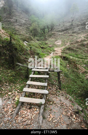 Pont en bois en route vers Sandakfu Sandakphu Sandakpur ; Bengale-Occidental ; Inde Banque D'Images