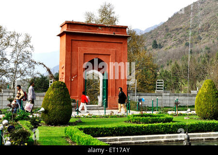 Chashme shahi mughal gardens srinagar Cachemire Inde Asie Banque D'Images