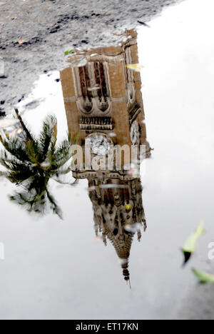 REFLEXION de l'horloge de Rajabai, REFLEXION de la tour de Rajabhai dans l'eau avec palmier, Bombay, Mumbai, Maharashtra, Inde Banque D'Images