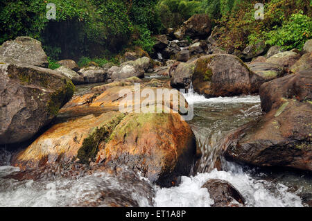 L'eau qui coule à travers la rivière des roches Reshi Reshikhola Asie Inde Sikkim Banque D'Images