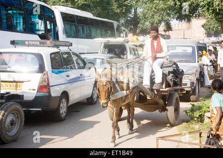 Panier Cheval et bus en circulation ; Fatehpur Sikiri Road ; l'Uttar Pradesh en Inde ; Banque D'Images