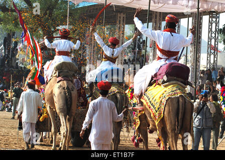 Les chameaux marchant à Pushkar Rajasthan Inde ; juste ; Banque D'Images