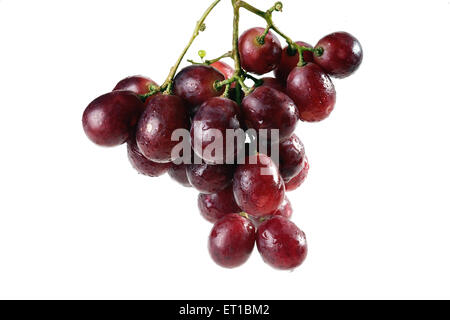 Goutte d'eau sur une grappe de raisin rouge sur fond blanc fruits 168342 saf Banque D'Images