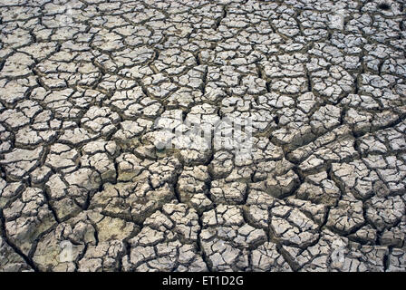 Schéma des fissures dans le sol séché d'un étang en période de sécheresse ; ; ; Inde Rajasthan Jaisalmer Banque D'Images