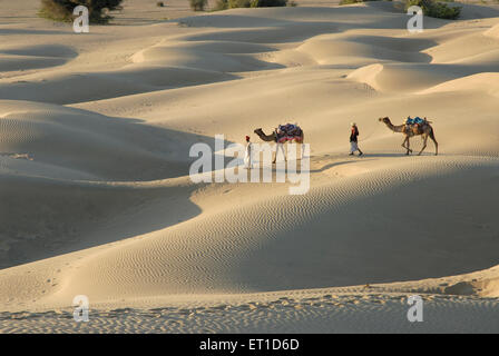 Des chameaux avec des hommes dans le désert de dunes de sable de Sam ; ; ; Inde Rajasthan Jaisalmer Banque D'Images