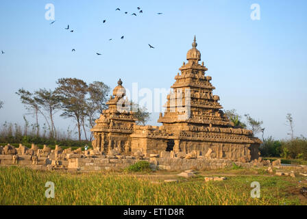 Temple de plage en mer ; plage mahabalipuram Chennai Tamil Nadu ; Inde ; Banque D'Images