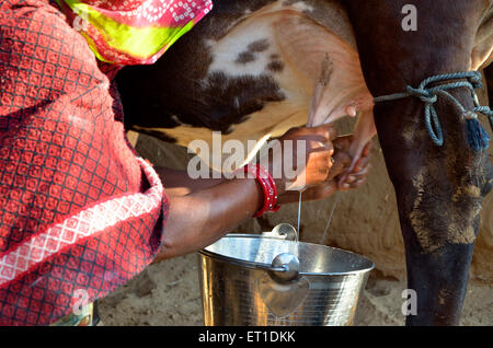 Femme est construit de boue la vache à traire Bikaner Rajasthan Inde Asie Banque D'Images