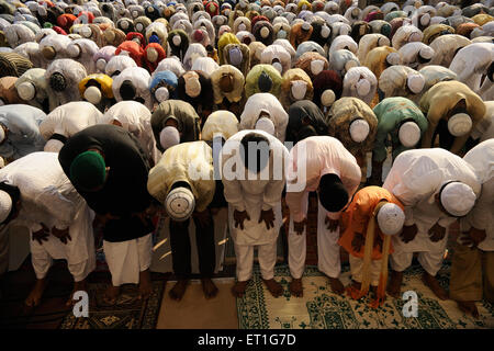 Musulmans priant, culte islamique, prières islamiques, prières d'Eid, Salat al Eid,EID al adha, Bombay, Mumbai, Maharashtra, Inde,Asie Banque D'Images