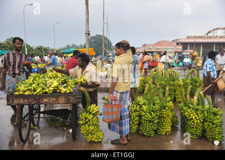 Vendeur de bananes sur le marché en pushcart Thanjavur ; ; ; Tamil Nadu Inde Banque D'Images