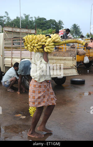 Homme portant régime de bananes ; Thanjavur ; Tamil Nadu Inde ; Banque D'Images