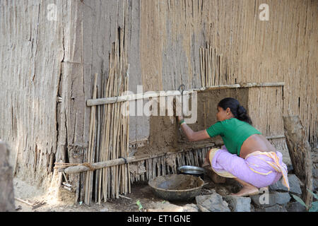 Femme tribale Warli appliquant une bouée de vache sur le mur de la maison ; Maharashtra ; Inde ; femme appliquant une bouée de vache sur le mur Banque D'Images