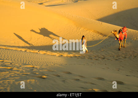 Avec le propriétaire de chameaux marche dans les dunes de sable de Sam ; ; ; Inde Rajasthan Jaisalmer Banque D'Images