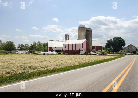 Amish farm en campagne, comté de Lancaster, Pennsylvanie, USA Néerlandais Banque D'Images