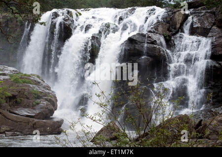 Un Thoovanam cascade sur les rochers à une vitesse énorme Munnar Kerala Inde Asie Banque D'Images