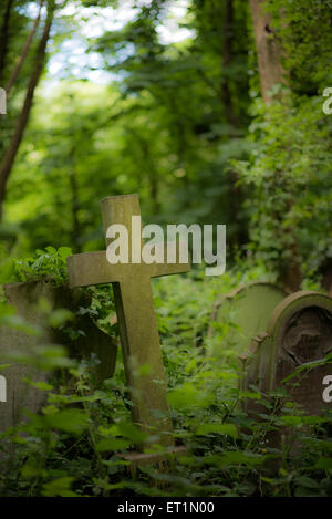 Les pierres tombales dans Abney Park Cemetery, Londres Banque D'Images