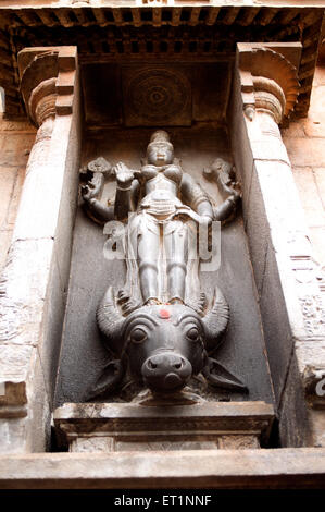 Sculpture décorative de mahishasura mardini au temple brihadeshwara Thanjavur ; ; ; Tamil Nadu Inde Banque D'Images