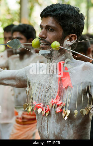 Spike piercing homme grâce à l'accomplissement de vœu dans Thaipusam joues ; festival ; Inde Kerala NOMR Banque D'Images