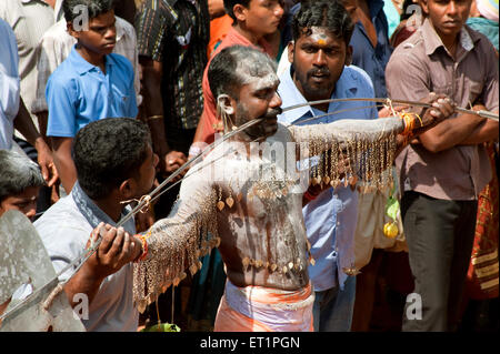 Festival de Thaipusam, festivals de Thaipoosam, festival hindou, rituel de repentance, peau perçante, acte de dévotion, Kerala, Inde, festival indien Banque D'Images