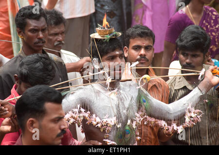 Spike piercing homme grâce à l'accomplissement de vœu dans Thaipusam joues ; festival ; Inde Kerala NOMR Banque D'Images