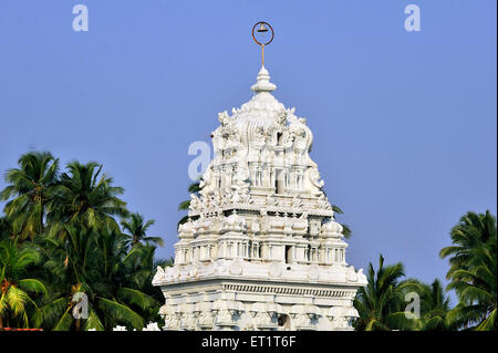 Haut de thanumalayan au temple à suchindram Tamil nadu Inde Asie Banque D'Images