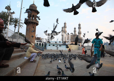 Nourrir les pigeons Charminar à Hyderabad Andhra Pradesh Telengana Inde Banque D'Images