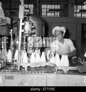 Bouteilles de lait se préparer à l'expédition ; usine de lait ; Aarey ; Bombay maintenant Mumbai ; Maharashtra ; Inde ; Asie ; ancien millésime 1900 Banque D'Images