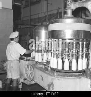 Bouteilles de lait se préparer à l'expédition ; usine de lait ; Aarey ; Bombay maintenant Mumbai ; Maharashtra ; Inde ; Asie ; ancien millésime 1900 Banque D'Images