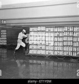 Bouteilles de lait se préparer à l'expédition ; usine de lait ; Aarey ; Bombay maintenant Mumbai ; Maharashtra ; Inde ; Asie ; ancien millésime 1900 Banque D'Images