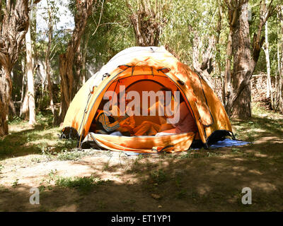 Family sitting in tent Saboo Ladakh Jammu-et-Cachemire Inde M.# 477 Banque D'Images