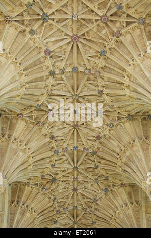 Le ventilateur au plafond voûté gothique magnifique de l'abbaye de Sherborne avec son motif complexe de croisées d'ogives. Dorset, Angleterre, Royaume-Uni. Banque D'Images