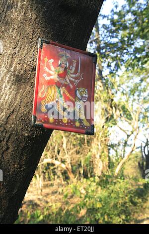 Cadre photo de la déesse Durga sur le tronc de l'arbre; Parc national de Sanjay Gandhi; Parc national de Borivalii; Borivalii; Bombay; Mumbai; Maharashtra; Inde; Asie; Banque D'Images