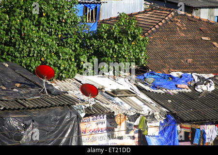 Antenne parabolique dans des taudis ; Behram Marg Kanekar Naupada Anant ; ; ; ; Bandra Bombay Mumbai Maharashtra Inde 17 septembre 2009 ; Banque D'Images