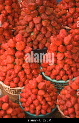 Fraises à vendre ; Mahableshwar ; District Satara ; Maharashtra ; Inde ; Asie Banque D'Images