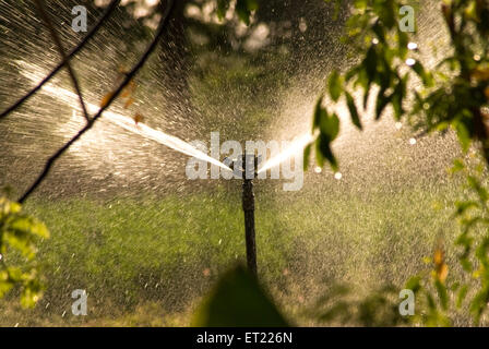 Irrigation par sprinkleurs ; Padhegaon ; Ahmadnagar ; Maharashtra ; Inde ; Asie Banque D'Images