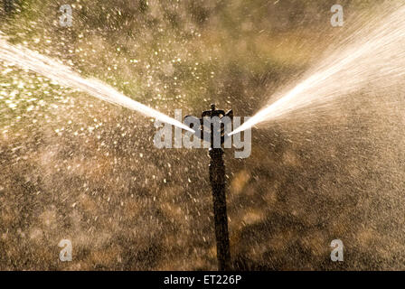 Irrigation sprinkleur Padhegaon Ahmadnagar Maharashtra Inde Asie Banque D'Images