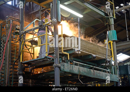 Greymouth, Nouvelle-Zélande, le 22 mai 2015 : les piles de travailleur des feuilles de contreplaqué non découpée près de Greymouth, Nouvelle-Zélande Banque D'Images