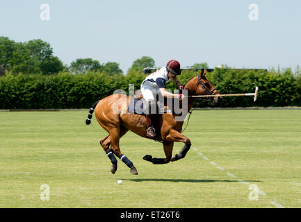 Joueur de polo de l'Université d'Édimbourg Banque D'Images