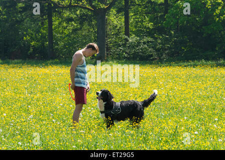 Jeune homme jouant avec frisbee dog in meadow, Border Collie, Perlacher Forst, Munich, Bavière, Allemagne Banque D'Images