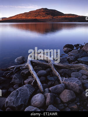 Détail plage, Mellon Udrigle, Gairloch, Écosse Banque D'Images