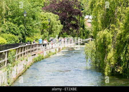 L'Itchen River à Winchester en été avec des gens qui marchent le long de la rivière et les jardins des chemins Banque D'Images