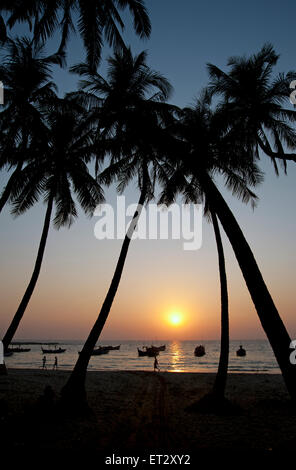 La silhouette des cocotiers encadrent la lueur coucher du soleil sur l'horizon à la plage de Ngapali Myanmar Banque D'Images