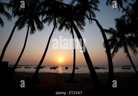 La silhouette des cocotiers encadrent la lueur coucher du soleil sur l'horizon à la plage de Ngapali Myanmar Banque D'Images